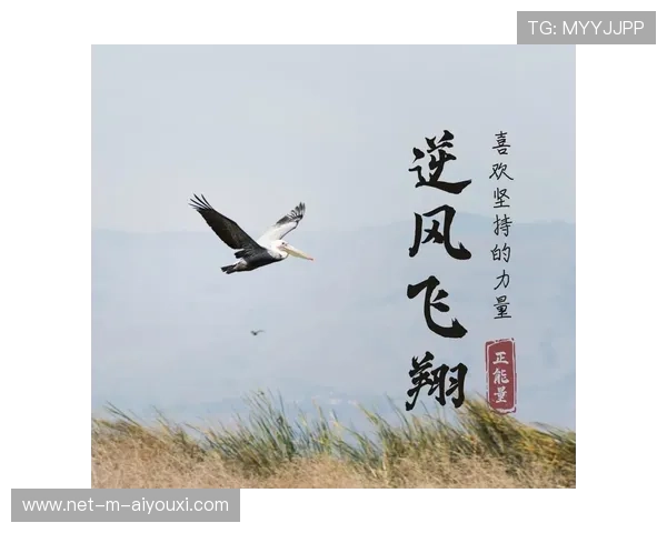 逆风高飞:那些用信念改变命运的球队 逆风高飞:那些用信念改变命运的球队