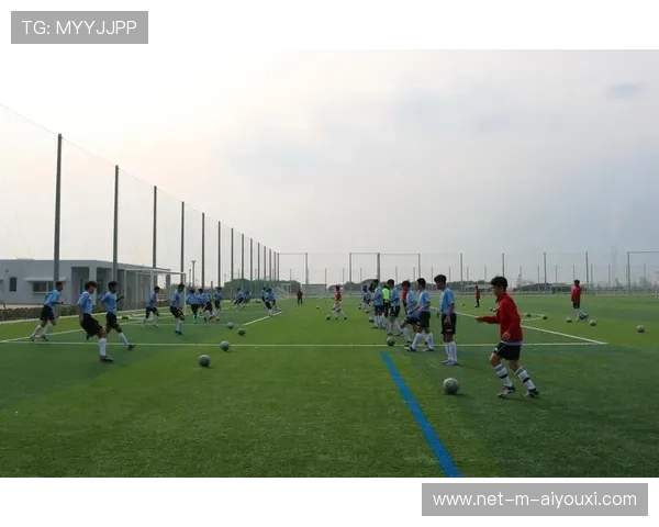 足球俱乐部在青训中建立校内外合作网络为球员提供全面成长支持